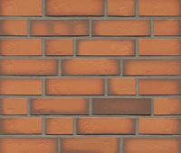 Клинкерная плитка Feldhaus Klinker, R718NF14 Accudo Terracotta Vivo в Москве