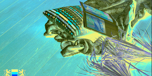 Террасная доска из ДПК Bamberg, Solid, African Bubinga28