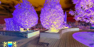 Террасная доска из ДПК Bamberg, Square, Brazilian Walnut16