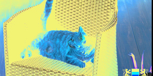 Террасная доска из ДПК Bamberg, Square, Lebanese Cedar17