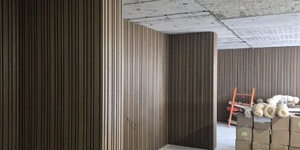 Реечная панель Different Lines, Australian Palisander, Co-Extrusion 4