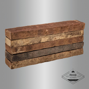 Ригельный кирпич Тандем, Тюдоръ, 485x42x40 мм