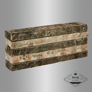 Клинкерный кирпич Тандем, Залесье, Eco Long