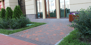 spb-pleseckaya-ul.-2-6-zhk-ariosto