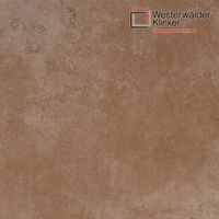 Клинкерные ступени и плитка WesterWalder WKS31150 в Москве