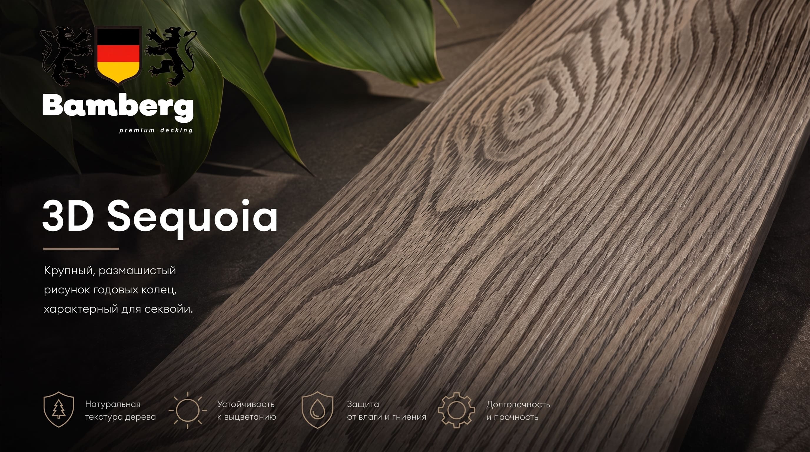 3D Sequoia