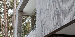 Фасадная доска ДПК Bamberg Lebanese Cedar фасад частного дома (4)