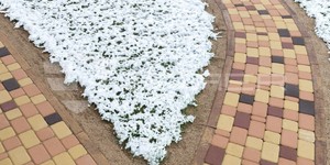 Фото как укладывать тротуарную плитку БРАЕР КЛАССИКО ПЕСОЧНЫЙ, ВИННЫЙ, КОРИЧНЕВЫЙ, КОРАЛОВЫЙ